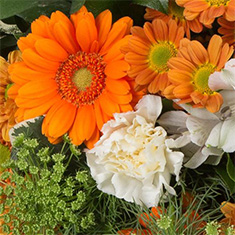 Florrester Posy Arrangement